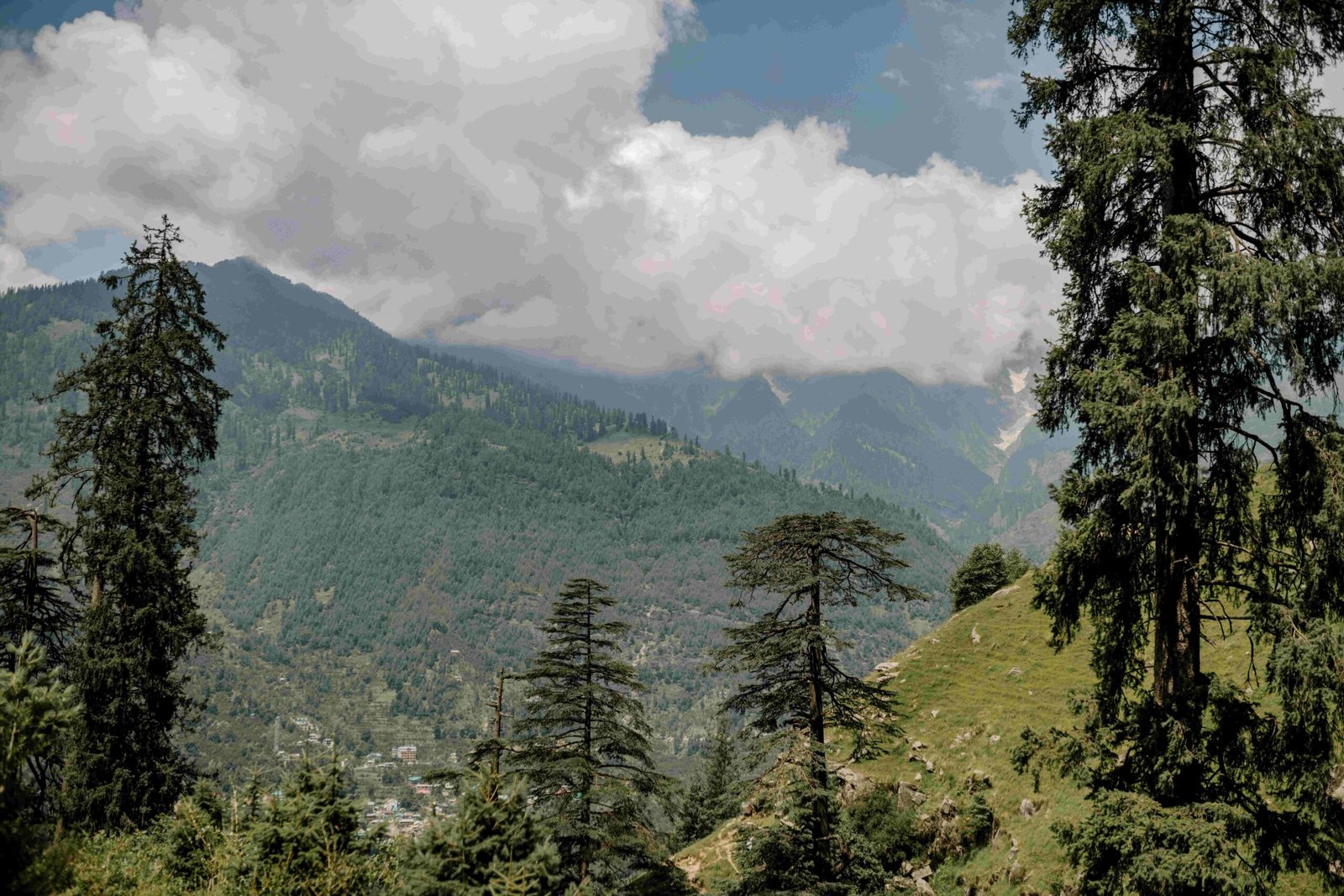 Best Time to Visit Manali Complete Season Guide (Month by Month)